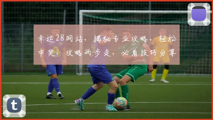 幸运28网站，揭秘专业攻略，轻松中奖，攻略两步走，必看技巧分享，让你成为高手