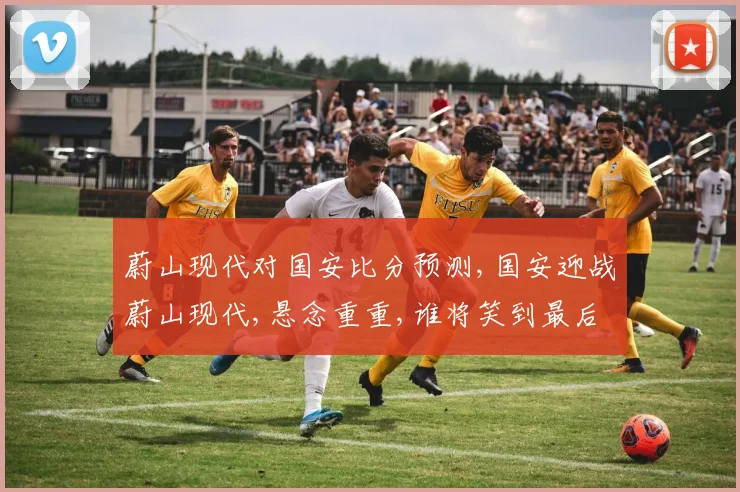 蔚山现代对国安比分预测,国安迎战蔚山现代,悬念重重,谁将笑到最后