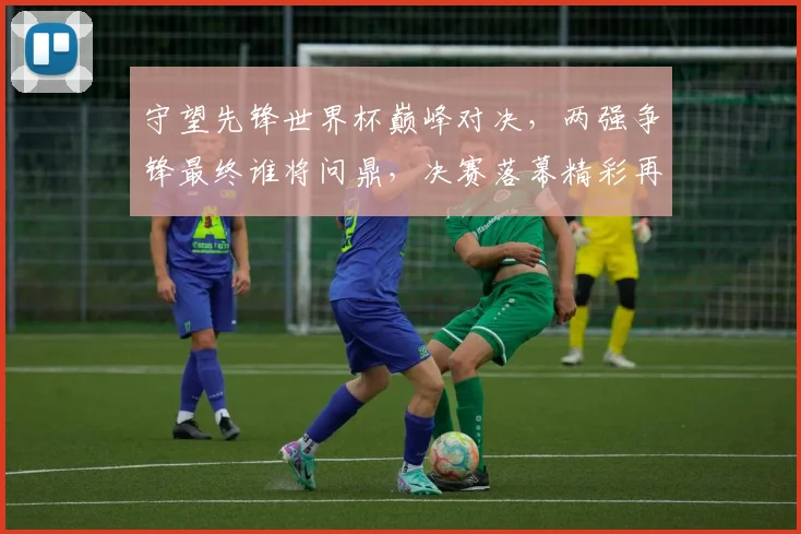 守望先锋世界杯巅峰对决，两强争锋最终谁将问鼎，决赛落幕精彩再现