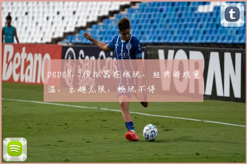 pgpg8.5模拟器在线玩，经典游戏重温，乐趣无限，畅玩不停